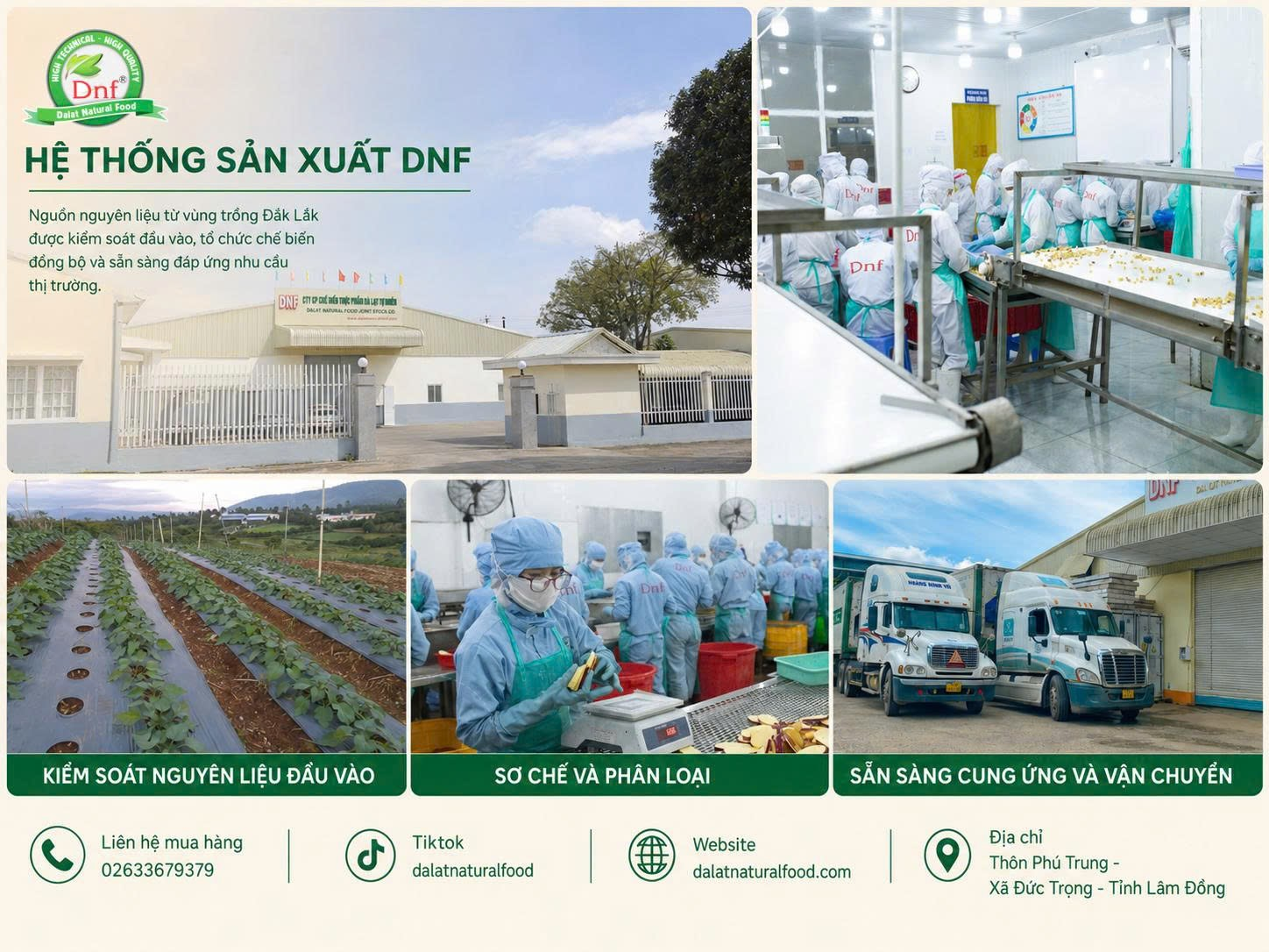 Đằng sau mỗi lô hàng xuất khẩu của Đà Lạt Tự Nhiên là một bộ hồ sơ chứng nhận